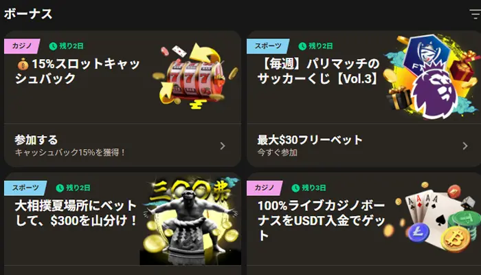 その他のボーナス