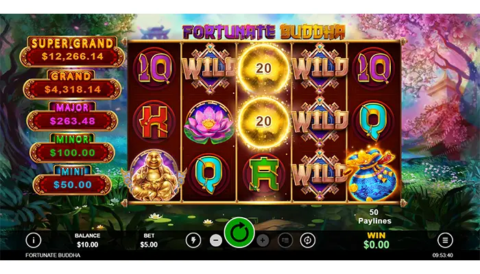 Fortunate Buddha